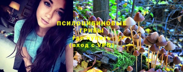 амф Медвежьегорск