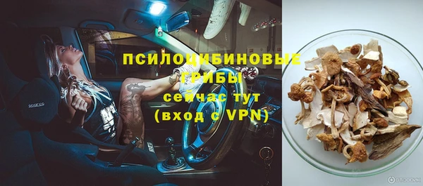стаф Мегион
