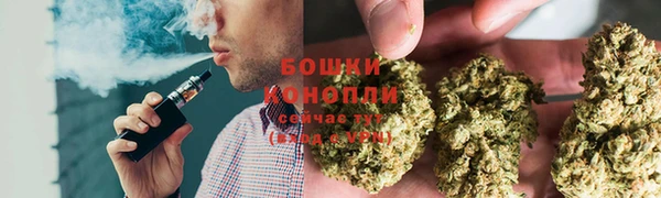 стаф Мегион